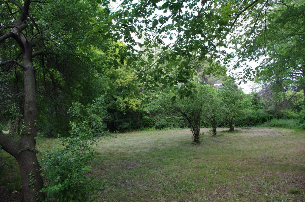 Chateau Le Vergel Authenac Ginestas Zimmer foto